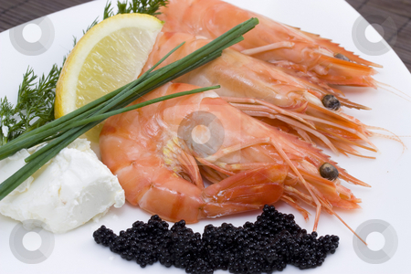 To use this stock image in your creative project, please select the size you need over to the right and click the "Add to Cart" button.
Your downloaded image will come with the Cutcaster watermark removed so don’t worry about the watermark you see on this page. Shrimps and caviar stock photo, A plate with fresh caviar, chive and shrimps by Sabino Parente