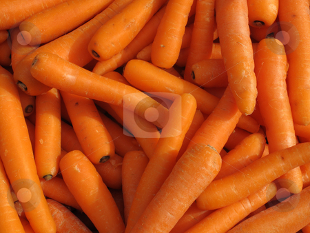 To use this stock image in your creative project, please select the size you need over to the right and click the "Add to Cart" button.
Your downloaded image will come with the Cutcaster watermark removed so don’t worry about the watermark you see on this page. Lots of raw carrots close up. stock photo, Lots of raw carrots close up. by Stephen Rees
