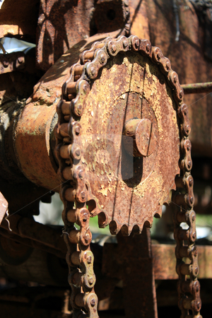 To use this stock image in your creative project, please select the size you need over to the right and click the "Add to Cart" button.
Your downloaded image will come with the Cutcaster watermark removed so don’t worry about the watermark you see on this page. Old Farm Sorting stock photo, Close-up of an old, rusted gear and chain outdoors by Carl Stewart