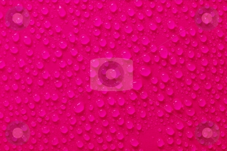 To use this stock image in your creative project, please select the size you need over to the right and click the "Add to Cart" button.
Your downloaded image will come with the Cutcaster watermark removed so don’t worry about the watermark you see on this page. Droplets stock photo, Water droplets on pink surface by P?