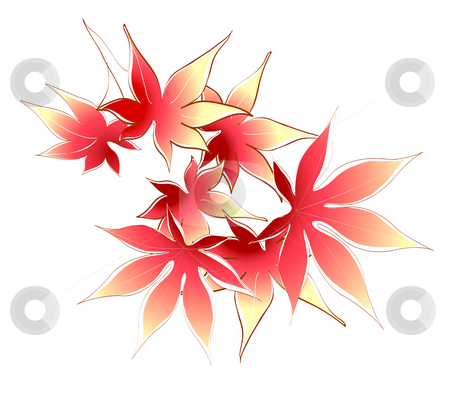 To use this stock image in your creative project, please select the size you need over to the right and click the "Add to Cart" button.
Your downloaded image will come with the Cutcaster watermark removed so don’t worry about the watermark you see on this page. Maple leaves stock photo, A group of maple leaves on a white background by Su Li
