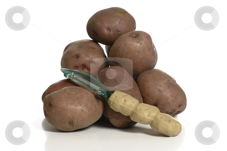 To use this stock image in your creative project, please select the size you need over to the right and click the "Add to Cart" button.
Your downloaded image will come with the Cutcaster watermark removed so don’t worry about the watermark you see on this page. Peeling Potatoes stock photo, A potato peeler ready to be used on this pile of organic red potatoes, shot on a white background, with a reflection by Richard Nelson