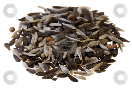 To use this stock image in your creative project, please select the size you need over to the right and click the "Add to Cart" button.
Your downloaded image will come with the Cutcaster watermark removed so don’t worry about the watermark you see on this page. Salad blend seeds on white stock photo, A pile of tiny seeds of lettuce, chicory, endive and spinach (several species) to be planted and grow for baby leaves salad, isolated on white by Marek Uliasz