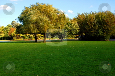 To use this stock image in your creative project, please select the size you need over to the right and click the "Add to Cart" button.
Your downloaded image will come with the Cutcaster watermark removed so don’t worry about the watermark you see on this page. Forest and garden under blue sky at fall stock photo, Green trees of a park at summer or autumn under blue sky by Gunnar Pippel