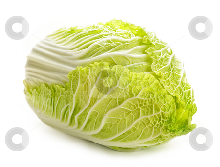 To use this stock image in your creative project, please select the size you need over to the right and click the "Add to Cart" button.
Your downloaded image will come with the Cutcaster watermark removed so don’t worry about the watermark you see on this page. Isolated chinese cabbage stock photo, Whole green chinese cabbage head isolated on white by Elena Elisseeva