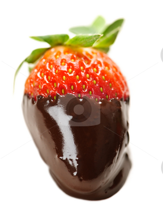 To use this stock image in your creative project, please select the size you need over to the right and click the "Add to Cart" button.
Your downloaded image will come with the Cutcaster watermark removed so don’t worry about the watermark you see on this page. Strawberry dipped in chocolate stock photo, Strawberry dipped in delicious chocolate isolated on white by Elena Elisseeva