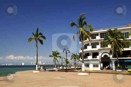 To use this stock image in your creative project, please select the size you need over to the right and click the "Add to Cart" button.
Your downloaded image will come with the Cutcaster watermark removed so don’t worry about the watermark you see on this page. Pacific coast of Mexico stock photo, Vacation at Puerto Vallarta beach on Pacific coast of Mexico by Elena Elisseeva