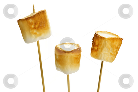 To use this stock image in your creative project, please select the size you need over to the right and click the "Add to Cart" button.
Your downloaded image will come with the Cutcaster watermark removed so don’t worry about the watermark you see on this page. Toasted marshmallows stock photo, Three golden toasted marshmallows on wooden skewers by Elena Elisseeva