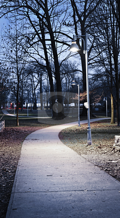 To use this stock image in your creative project, please select the size you need over to the right and click the "Add to Cart" button.
Your downloaded image will come with the Cutcaster watermark removed so don’t worry about the watermark you see on this page. Park path at dusk stock photo, Path through city park at dusk with street lamps by Elena Elisseeva