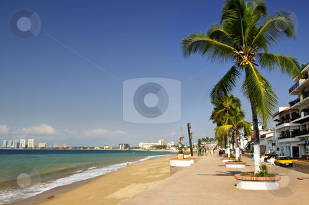 To use this stock image in your creative project, please select the size you need over to the right and click the "Add to Cart" button.
Your downloaded image will come with the Cutcaster watermark removed so don’t worry about the watermark you see on this page. Pacific coast of Mexico stock photo, Vacation at Puerto Vallarta beach on Pacific coast of Mexico by Elena Elisseeva