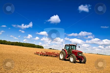 To use this stock image in your creative project, please select the size you need over to the right and click the "Add to Cart" button.
Your downloaded image will come with the Cutcaster watermark removed so don’t worry about the watermark you see on this page. Tractor in plowed field stock photo, Small scale farming with tractor and plow in field by Elena Elisseeva