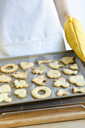 To use this stock image in your creative project, please select the size you need over to the right and click the "Add to Cart" button.
Your downloaded image will come with the Cutcaster watermark removed so don’t worry about the watermark you see on this page. Freshly baked cookies stock photo, Chef holding cookie tray with fresh baked homemade shortbread cookies by Elena Elisseeva