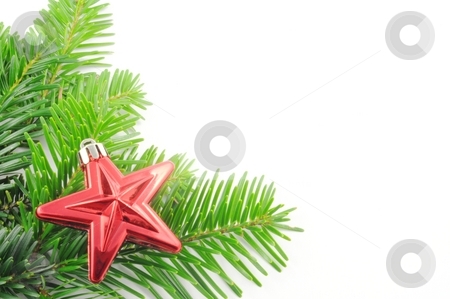 To use this stock image in your creative project, please select the size you need over to the right and click the "Add to Cart" button.
Your downloaded image will come with the Cutcaster watermark removed so don’t worry about the watermark you see on this page. Green fir for christmas stock photo, Green fir for christmas with blank and empty copyspace by Gunnar Pippel