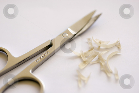 To use this stock image in your creative project, please select the size you need over to the right and click the "Add to Cart" button.
Your downloaded image will come with the Cutcaster watermark removed so don’t worry about the watermark you see on this page. Nail scissors stock photo, A pair nail scissors and some nail clippings by Stephen Gibson