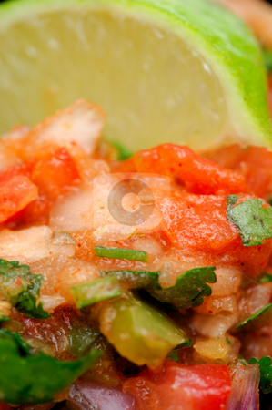 To use this stock image in your creative project, please select the size you need over to the right and click the "Add to Cart" button.
Your downloaded image will come with the Cutcaster watermark removed so don’t worry about the watermark you see on this page. Salsa Extreme Close-up stock photo, Close-up of spicy homemade salsa topped with fresh lime. Ingredients include tomato cilantro onion garlic
and hot spicy chili peppers by Lynn Bendickson
