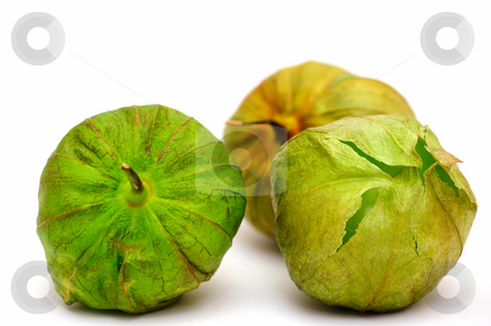 To use this stock image in your creative project, please select the size you need over to the right and click the "Add to Cart" button.
Your downloaded image will come with the Cutcaster watermark removed so don’t worry about the watermark you see on this page. Tomatillo For Salsa Verde stock photo, Three ripe tomatillos on a light colored background with various shades of green and brown on the husk ready to be peeled and used as the main ingredient for Mexican salsa verde. by Lynn Bendickson