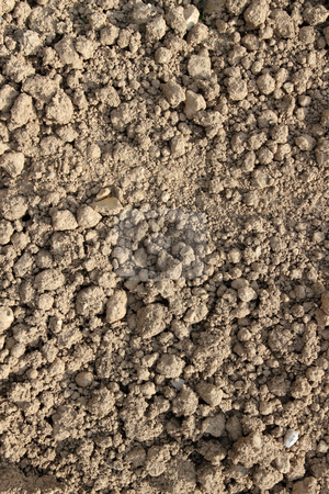 To use this stock image in your creative project, please select the size you need over to the right and click the "Add to Cart" button.
Your downloaded image will come with the Cutcaster watermark removed so don’t worry about the watermark you see on this page. Garden soil close up. stock photo, Garden soil close up. by Stephen Rees