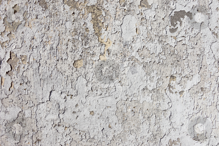 To use this stock image in your creative project, please select the size you need over to the right and click the "Add to Cart" button.
Your downloaded image will come with the Cutcaster watermark removed so don’t worry about the watermark you see on this page. Old weathered flaky white paint on a wall. stock photo, Old weathered flaky white paint on a wall. by Stephen Rees