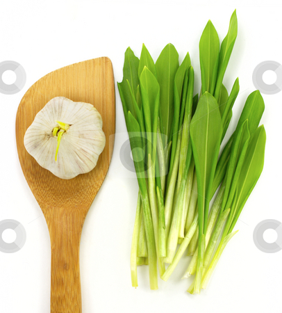 To use this stock image in your creative project, please select the size you need over to the right and click the "Add to Cart" button.
Your downloaded image will come with the Cutcaster watermark removed so don’t worry about the watermark you see on this page. Garlic and ramsons stock photo, Garlic with small wooden shovel and ramsons by Vladimir Gladcov