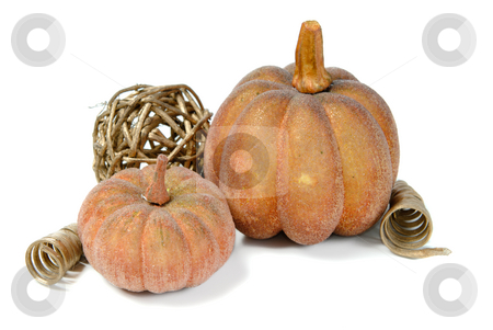 To use this stock image in your creative project, please select the size you need over to the right and click the "Add to Cart" button.
Your downloaded image will come with the Cutcaster watermark removed so don’t worry about the watermark you see on this page. Fall Colors stock photo, Artificial pumkins and fall ornaments, isolated against a white background. by Richard Nelson