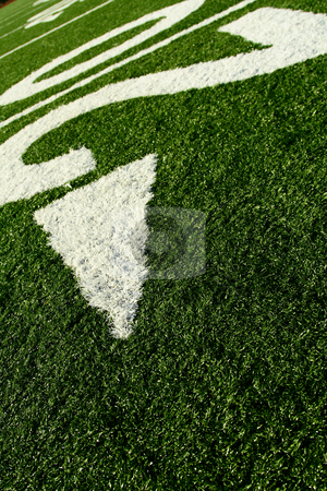 To use this stock image in your creative project, please select the size you need over to the right and click the "Add to Cart" button.
Your downloaded image will come with the Cutcaster watermark removed so don’t worry about the watermark you see on this page. Football field stock photo, A shot of an american football field by Suprijono Suharjoto