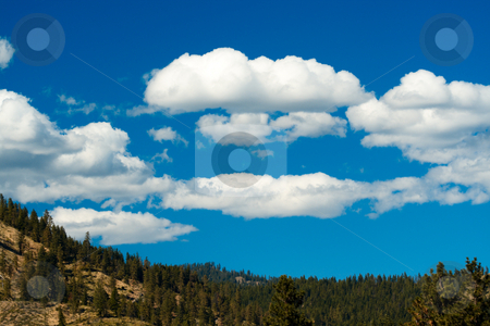 To use this stock image in your creative project, please select the size you need over to the right and click the "Add to Cart" button.
Your downloaded image will come with the Cutcaster watermark removed so don’t worry about the watermark you see on this page. Beautiful scenery stock photo, A beautiful view of alpine meadow with white clouds and blue sky by Suprijono Suharjoto
