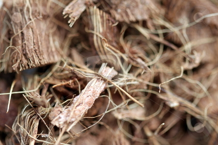 To use this stock image in your creative project, please select the size you need over to the right and click the "Add to Cart" button.
Your downloaded image will come with the Cutcaster watermark removed so don’t worry about the watermark you see on this page. Mulch stock photo, Close up of brown mulch good for use as a background by Henrik Lehnerer