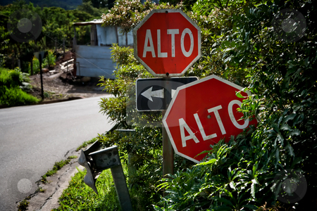 To use this stock image in your creative project, please select the size you need over to the right and click the "Add to Cart" button.
Your downloaded image will come with the Cutcaster watermark removed so don’t worry about the watermark you see on this page. Alto signs in Santa Elena Costa Rica stock photo, Alto signs at intersection in Santa Elena Costa Rica by Scott Griessel