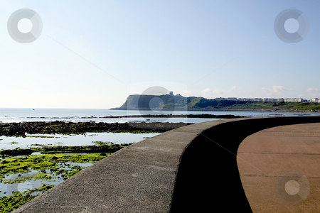 To use this stock image in your creative project, please select the size you need over to the right and click the "Add to Cart" button.
Your downloaded image will come with the Cutcaster watermark removed so don’t worry about the watermark you see on this page. Scarborough Castle stock photo, Scarborough Castle viewed across North Bay from pedestrian waterfront sidewalk, North Yorkshire, England. by Martin Crowdy