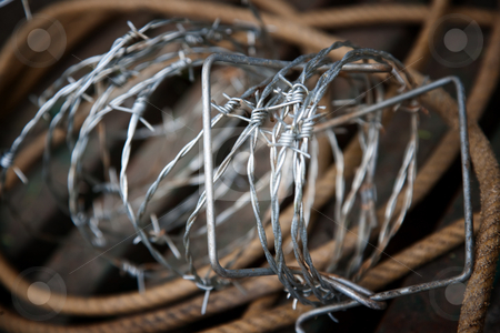 To use this stock image in your creative project, please select the size you need over to the right and click the "Add to Cart" button.
Your downloaded image will come with the Cutcaster watermark removed so don’t worry about the watermark you see on this page. Barbed wire and rope stock photo, Rustic still life of barbed wire and rope by Scott Griessel
