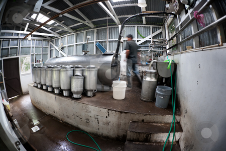 To use this stock image in your creative project, please select the size you need over to the right and click the "Add to Cart" button.
Your downloaded image will come with the Cutcaster watermark removed so don’t worry about the watermark you see on this page. Rustic dairy operation in Costa Rica stock photo, Rustic dairy operation in Costa Rica near Monteverde by Scott Griessel