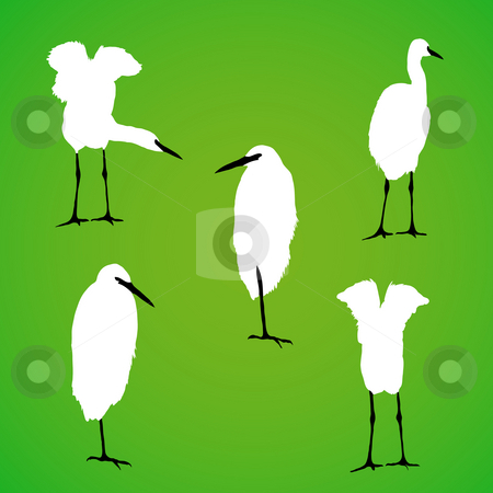To use this stock image in your creative project, please select the size you need over to the right and click the "Add to Cart" button.
Your downloaded image will come with the Cutcaster watermark removed so don’t worry about the watermark you see on this page. Vector bird silhouette stock photo, Detailed vector bird silhouette. by Homydesign
