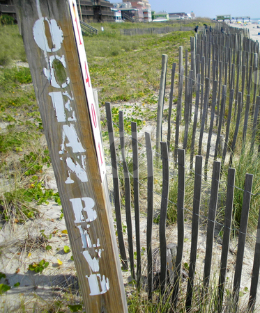 To use this stock image in your creative project, please select the size you need over to the right and click the "Add to Cart" button.
Your downloaded image will come with the Cutcaster watermark removed so don’t worry about the watermark you see on this page. Ocean Blvd stock photo, Oceam road sign just before the beach starts at a resort town. by Tim Markley