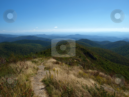 To use this stock image in your creative project, please select the size you need over to the right and click the "Add to Cart" button.
Your downloaded image will come with the Cutcaster watermark removed so don’t worry about the watermark you see on this page. Trail View stock photo, View along the Art Loeb Trail in the Shining Rock Area of the Pisgah Forest in North Carolina. by Tim Markley