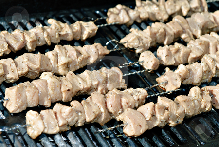 To use this stock image in your creative project, please select the size you need over to the right and click the "Add to Cart" button.
Your downloaded image will come with the Cutcaster watermark removed so don’t worry about the watermark you see on this page. Pork Kabobs stock photo, Some raw pork kabobs about to be barbequed by Richard Nelson