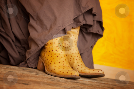 To use this stock image in your creative project, please select the size you need over to the right and click the "Add to Cart" button.
Your downloaded image will come with the Cutcaster watermark removed so don’t worry about the watermark you see on this page. Boots stock photo, by Scott Griessel