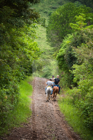 To use this stock image in your creative project, please select the size you need over to the right and click the "Add to Cart" button.
Your downloaded image will come with the Cutcaster watermark removed so don’t worry about the watermark you see on this page. Tourists on horseback in Costa Rica stock photo, Tourists on horseback in Costa Rican cloud forest by Scott Griessel