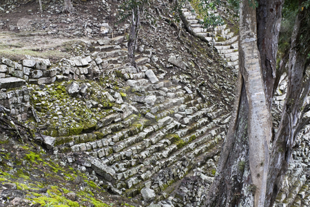 To use this stock image in your creative project, please select the size you need over to the right and click the "Add to Cart" button.
Your downloaded image will come with the Cutcaster watermark removed so don’t worry about the watermark you see on this page. Stairs in ancient Copan stock photo, Ruins of ancient Copan - Honduras by Henryk Sadura