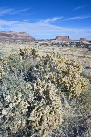 To use this stock image in your creative project, please select the size you need over to the right and click the "Add to Cart" button.
Your downloaded image will come with the Cutcaster watermark removed so don’t worry about the watermark you see on this page. Canyonlands National Park in Utah stock photo, Panorama of Canyonlands National Park in Utah by Henryk Sadura