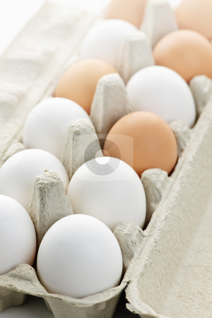 To use this stock image in your creative project, please select the size you need over to the right and click the "Add to Cart" button.
Your downloaded image will come with the Cutcaster watermark removed so don’t worry about the watermark you see on this page. Eggs stock photo, Closeup of white and brown eggs in carton by Elena Elisseeva