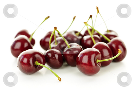 To use this stock image in your creative project, please select the size you need over to the right and click the "Add to Cart" button.
Your downloaded image will come with the Cutcaster watermark removed so don’t worry about the watermark you see on this page. Fresh cherries stock photo, Bunch of fresh cherries on white background by Elena Elisseeva