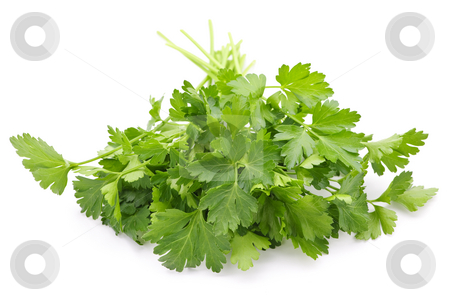 To use this stock image in your creative project, please select the size you need over to the right and click the "Add to Cart" button.
Your downloaded image will come with the Cutcaster watermark removed so don’t worry about the watermark you see on this page. Fresh parsley on white background stock photo, Bunch of Fresh green parsley isolated on white background by Elena Elisseeva