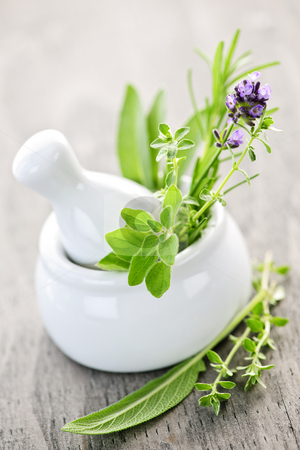 To use this stock image in your creative project, please select the size you need over to the right and click the "Add to Cart" button.
Your downloaded image will come with the Cutcaster watermark removed so don’t worry about the watermark you see on this page. Healing herbs in mortar and pestle stock photo, Healing herbs in white ceramic mortar and pestle by Elena Elisseeva