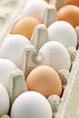 To use this stock image in your creative project, please select the size you need over to the right and click the "Add to Cart" button.
Your downloaded image will come with the Cutcaster watermark removed so don’t worry about the watermark you see on this page. Eggs stock photo, Closeup of white and brown eggs in carton by Elena Elisseeva