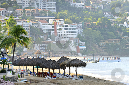 To use this stock image in your creative project, please select the size you need over to the right and click the "Add to Cart" button.
Your downloaded image will come with the Cutcaster watermark removed so don’t worry about the watermark you see on this page. Puerto Vallarta beach, Mexico stock photo, Morning beach and ocean in Puerto Vallarta, Mexico by Elena Elisseeva