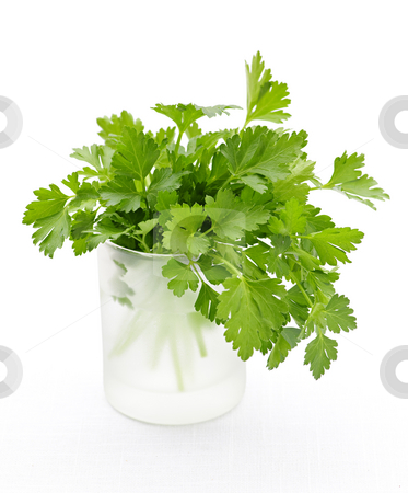 To use this stock image in your creative project, please select the size you need over to the right and click the "Add to Cart" button.
Your downloaded image will come with the Cutcaster watermark removed so don’t worry about the watermark you see on this page. Fresh parsley on white background stock photo, Fresh green parsley in glass isolated on white background by Elena Elisseeva