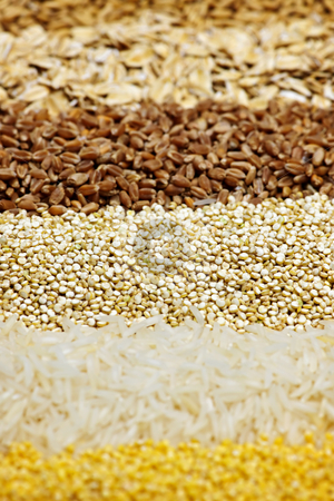 To use this stock image in your creative project, please select the size you need over to the right and click the "Add to Cart" button.
Your downloaded image will come with the Cutcaster watermark removed so don’t worry about the watermark you see on this page. Various grains close up stock photo, Background of different kinds of grains close up by Elena Elisseeva