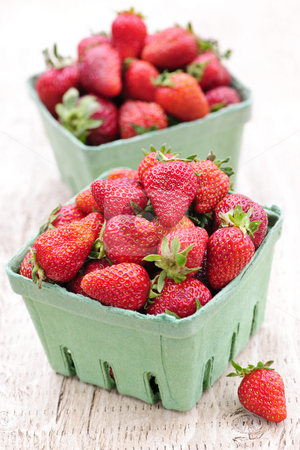 To use this stock image in your creative project, please select the size you need over to the right and click the "Add to Cart" button.
Your downloaded image will come with the Cutcaster watermark removed so don’t worry about the watermark you see on this page. Strawberries stock photo, Two containers of fresh organic red strawberries by Elena Elisseeva