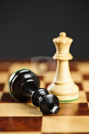To use this stock image in your creative project, please select the size you need over to the right and click the "Add to Cart" button.
Your downloaded image will come with the Cutcaster watermark removed so don’t worry about the watermark you see on this page. Checkmate in chess stock photo, Closeup of checkmate on king by queen winning in chess game by Elena Elisseeva