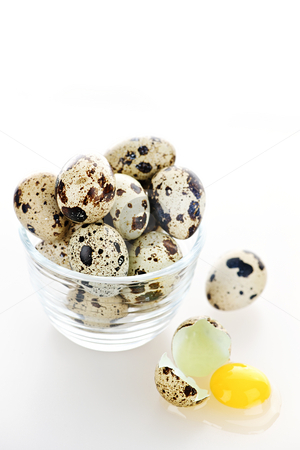 To use this stock image in your creative project, please select the size you need over to the right and click the "Add to Cart" button.
Your downloaded image will come with the Cutcaster watermark removed so don’t worry about the watermark you see on this page. Quail eggs stock photo, Many small speckled quail eggs with one broken egg by Elena Elisseeva